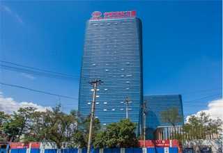 汕头体视荧光显微镜解决方案